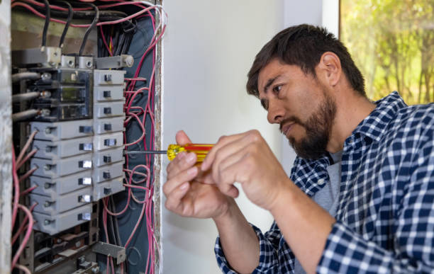 Best Home Electrical Repair  in St Charles, MN